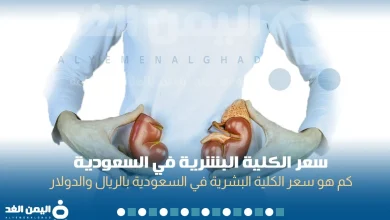 سعر الكلية البشرية 2025 في السعودية الريال السعودي الدولار الامريكي The price of a human kidney in Saudi Arabia | alyemenalghad.news