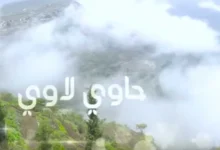 حاوي لاوي