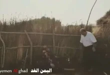 yemen zanbaga