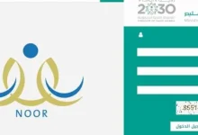 نظام نور حركة النقل الخارجي 799x342