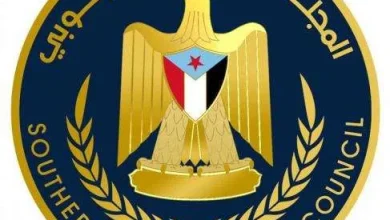 المجلس الانتقالي