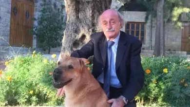 الكلب اوسكار jpg | سبب وفاة اوسكار " كلب وليد جنبلاط