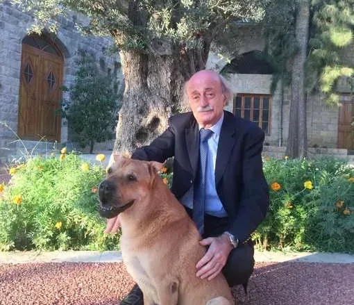 سبب وفاة اوسكار " كلب وليد جنبلاط 1 الكلب اوسكار jpg | سبب وفاة اوسكار " كلب وليد جنبلاط