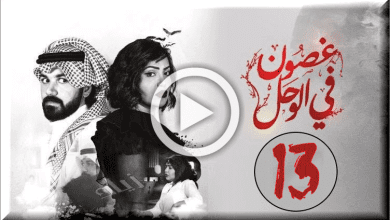 غصون 13