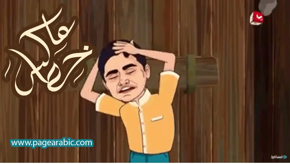 عاكس خط