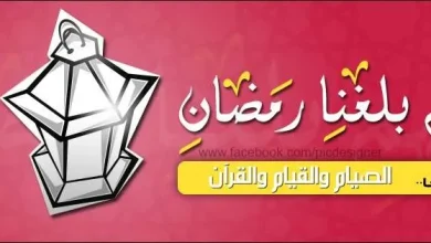 ELSAHEFA 23459 19