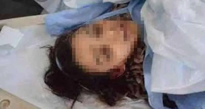 EL2iIkjWoAM6RaJ jpg | إغتيال المحامية سجى محمد عبدالكريم الراوي العراقية سبب مقتل سجى محمد في تركيا