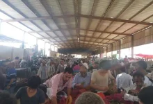 اسواق القات