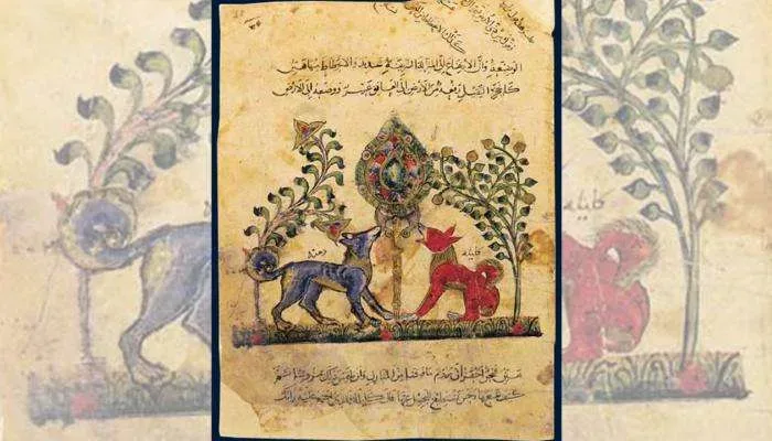 من هو مترجم كتاب كليله ودمنه من الأديب صاحب ترجمة الكتاب