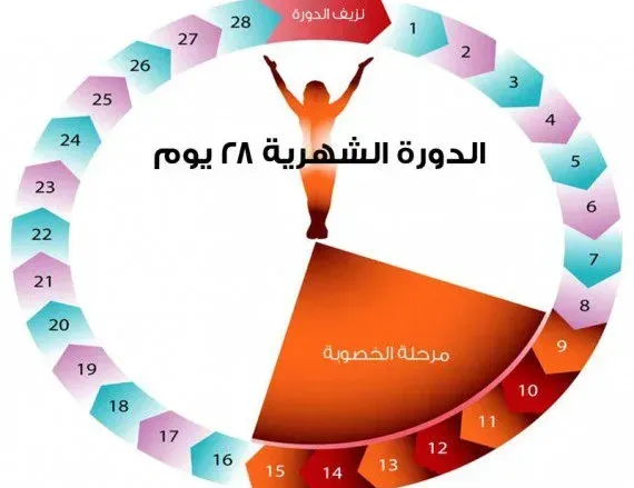 أعراض فترة التبويض