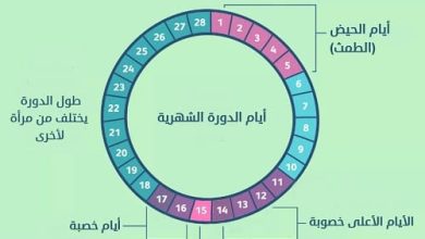 جدول ايام التبويض بعد الدورة بكم يوم