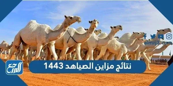 نتائج مزاين الصياهد 1443 الصفر
