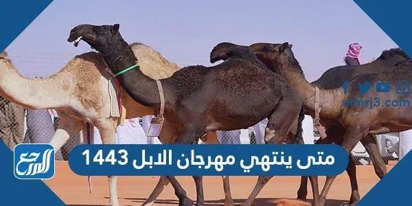 متى ينتهي مهرجان الابل 1443