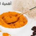 The importance of turmeric 1