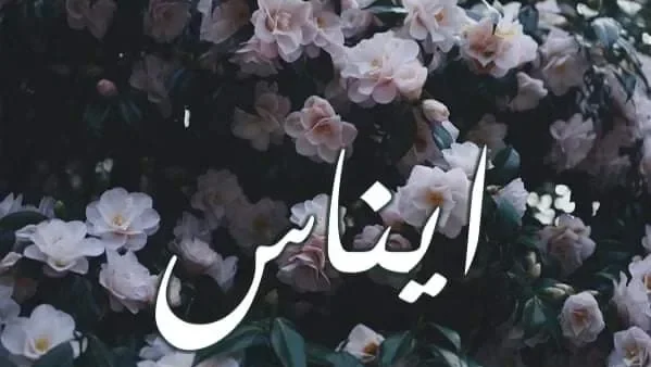 معنى اسم ” إيناس ” وصفات حاملة الأسم تقدمه لكم عالم النجوم – جريدة عالم النجوم