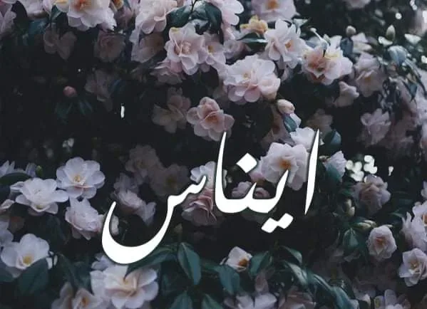 معنى اسم إيناس وصفات حاملة الأسم  https://www.alyemenalghad.ocm