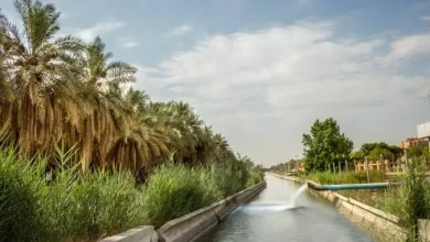 أنشأ مشروع الرٌي والصرف في الأحساء الملك