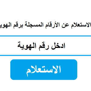 إستعلام عن أرقامى معرفة الأرقام المسجلة