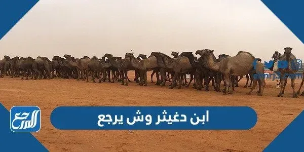 ابن دغيثر وش يرجع