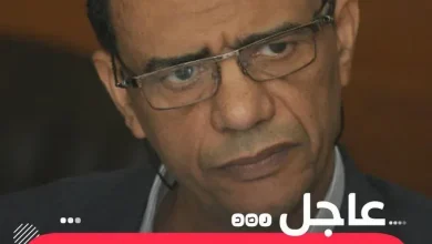 السيواني jpg | من هو الصحفي عبد الحكيم الأسواني؟