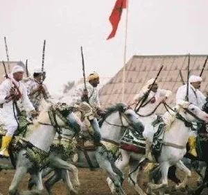 الشلاقي وش يرجع