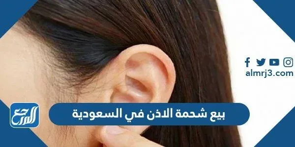 بيع شحمة الاذن في السعودية
