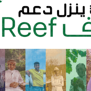 رابط الاستعلام عن الدفع الريفي برقم الهوية