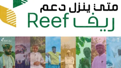 رابط الاستعلام عن الدفع الريفي برقم الهوية