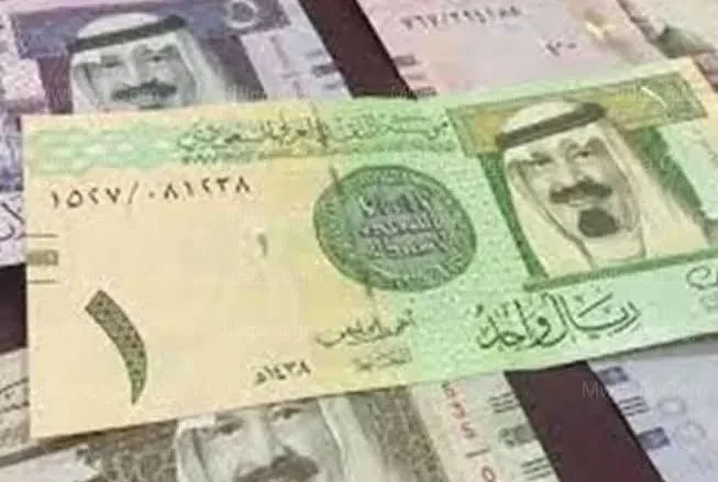 سعر الريال السعودي مقابل الجنيه المصري اليوم الخميس 14 يناير 2022 1 سعر الريال السعودي مقابل الجنيه المصري اليوم الخميس 13 يناير 2022