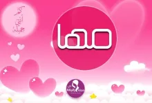 مجلة رقيقة