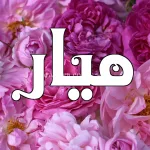 ميار