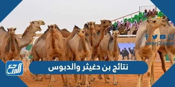 نتائج بن دغيثر والدبوس
