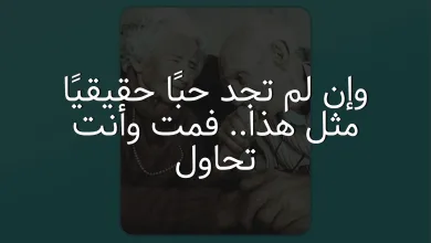 وإن لم تجد حبًا حقيقيًا مثل هذا.. فمت وأنت تحاول