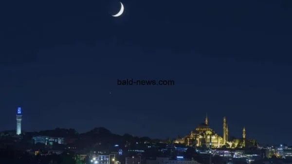 بلد نيوز