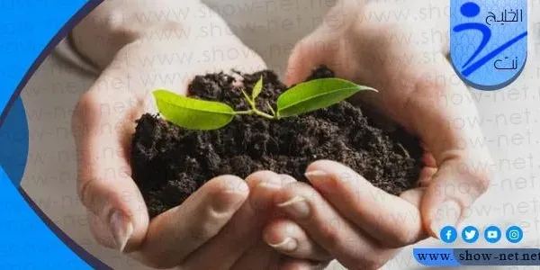 في عام 2019 ما هي فعالية شي ان الخيريه