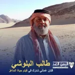 taleb