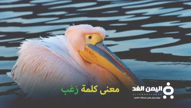 كلمة زغب
