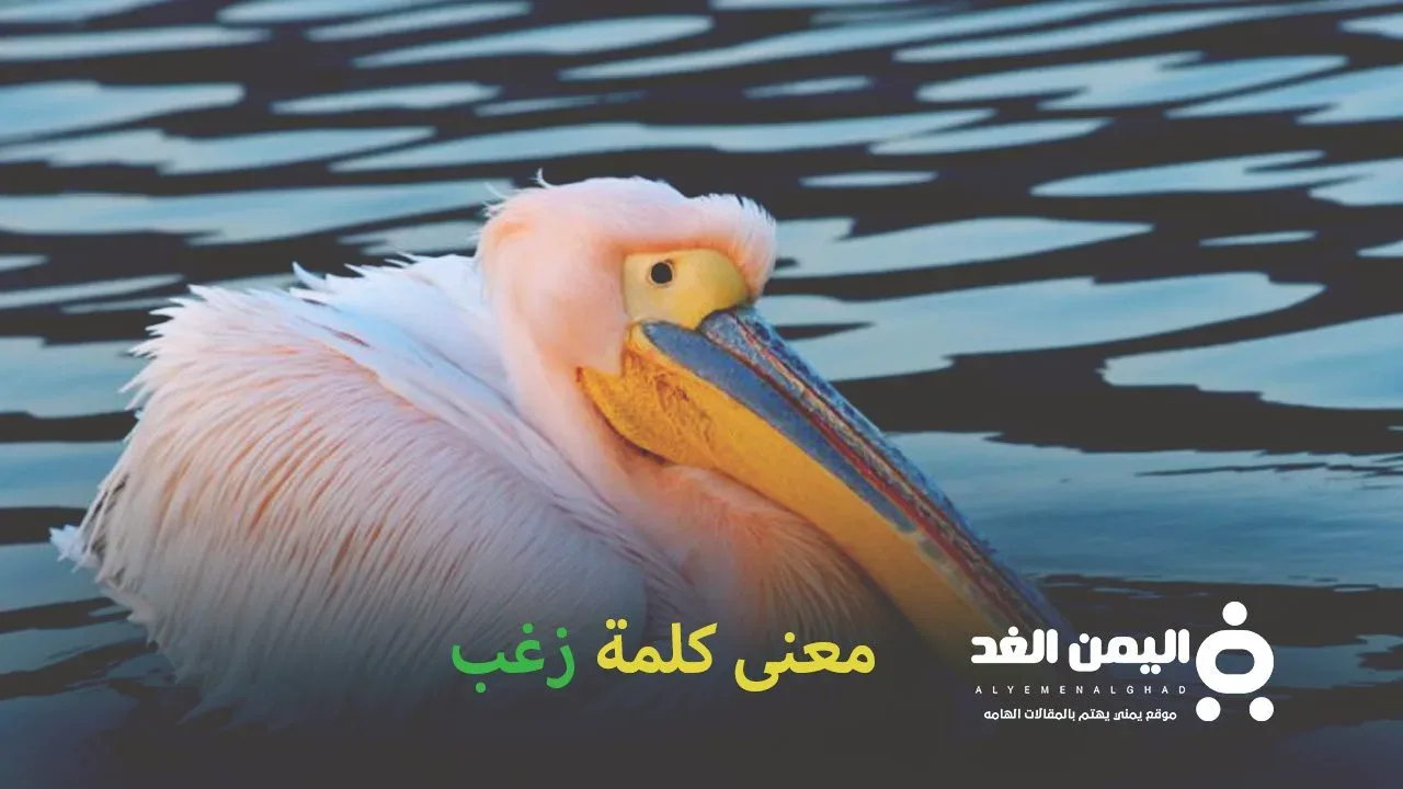 معنى كلمة زغب وهل هي نفسها كلمة زغبني في السعودية الخليج