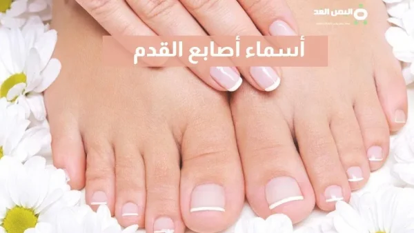 أسماء أصابع القدم