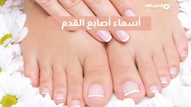 أسماء أصابع القدم