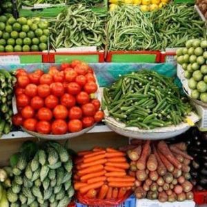 أسعار الخضروات اليوم