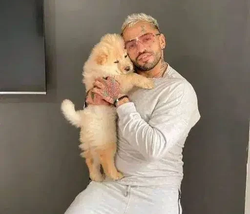 ye.alyemenalghad.com