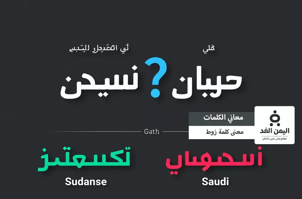 معنى كلمة زوط
