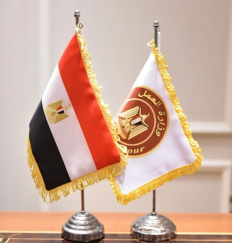 الحكومة تطرح فرص عمل جديدة للشباب