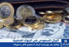 سعر الريال السعودي في مصر 4-11-2024