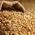 سعر طن الارز الشعير اليوم