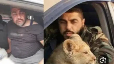 القبض على طلال الدقاق