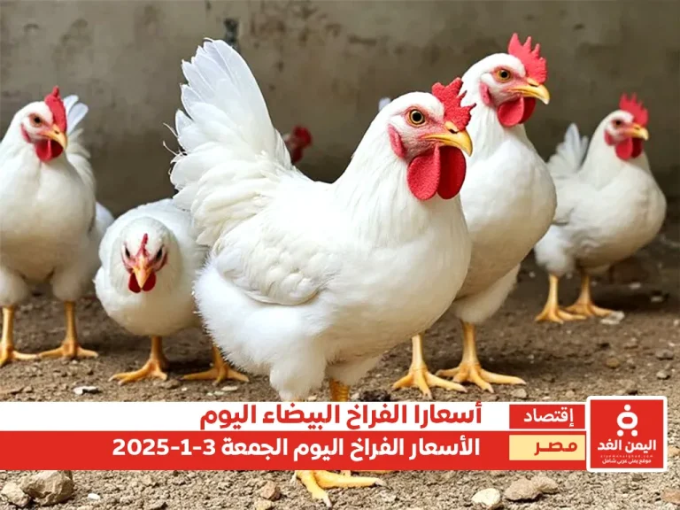 أسعار الفراخ البيضاء في مصر 3 يناير 2025