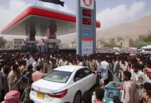 النطف في اليمن
