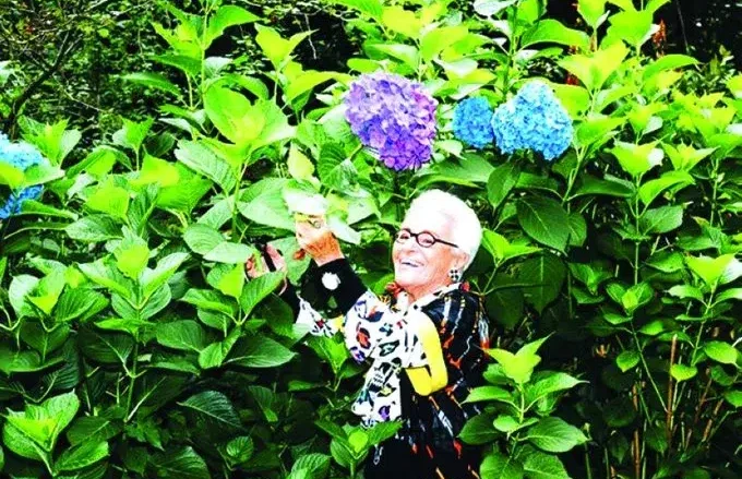 روزيتا ميسوني